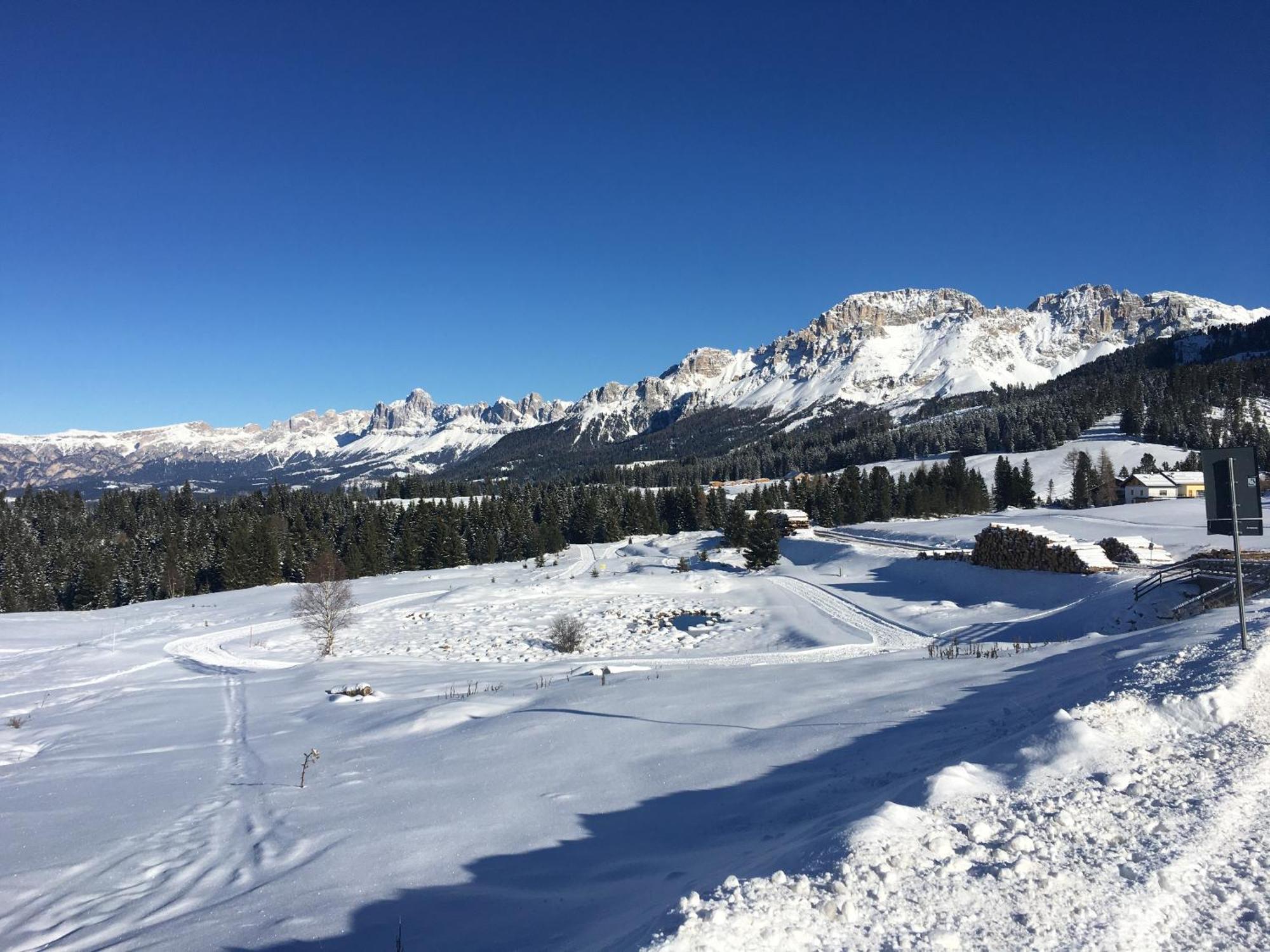 Villa Molteni, Di Fiemme,